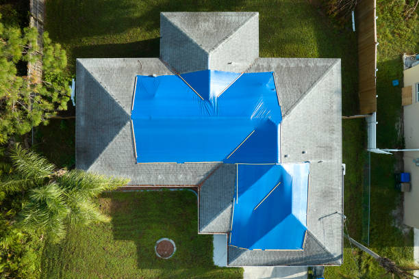 Best Rubber Roofing (EPDM, TPO)  in Madison, MN