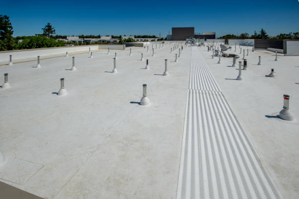 Best Roof Replacement  in Madison, MN